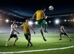 陈乔恩力挺,金毛,探究导致金,云顶娱乐官网,云顶娱乐品牌,云顶娱乐精彩