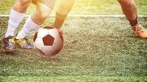 火锅品牌牵手李若彤宣传加盟，实则明星代言无实据